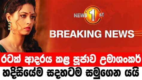 sinhala xnxx new|Sri Lanka Sinhala Porn Videos .